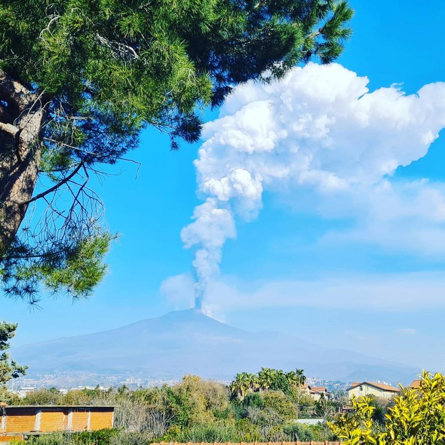 La Punta Ξενοδοχείο San Giovanni La Punta Εξωτερικό φωτογραφία