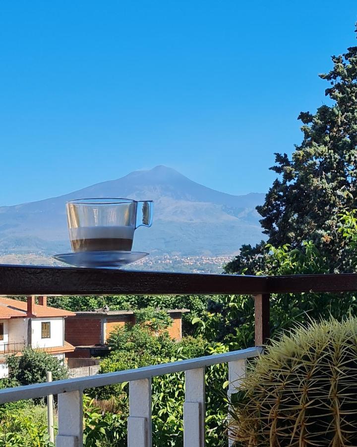La Punta Ξενοδοχείο San Giovanni La Punta Εξωτερικό φωτογραφία